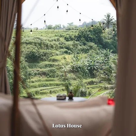 Camaya Bali - Magical Bamboo Houses Selat Buitenkant foto